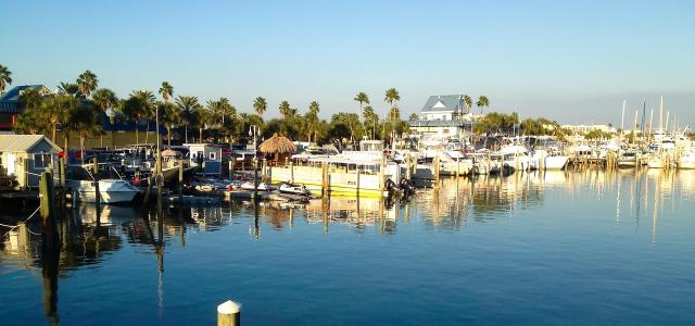 palm trees lining the pier beside boats in florida